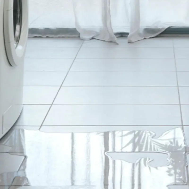 Appliance Leak Cleanup in English, IN