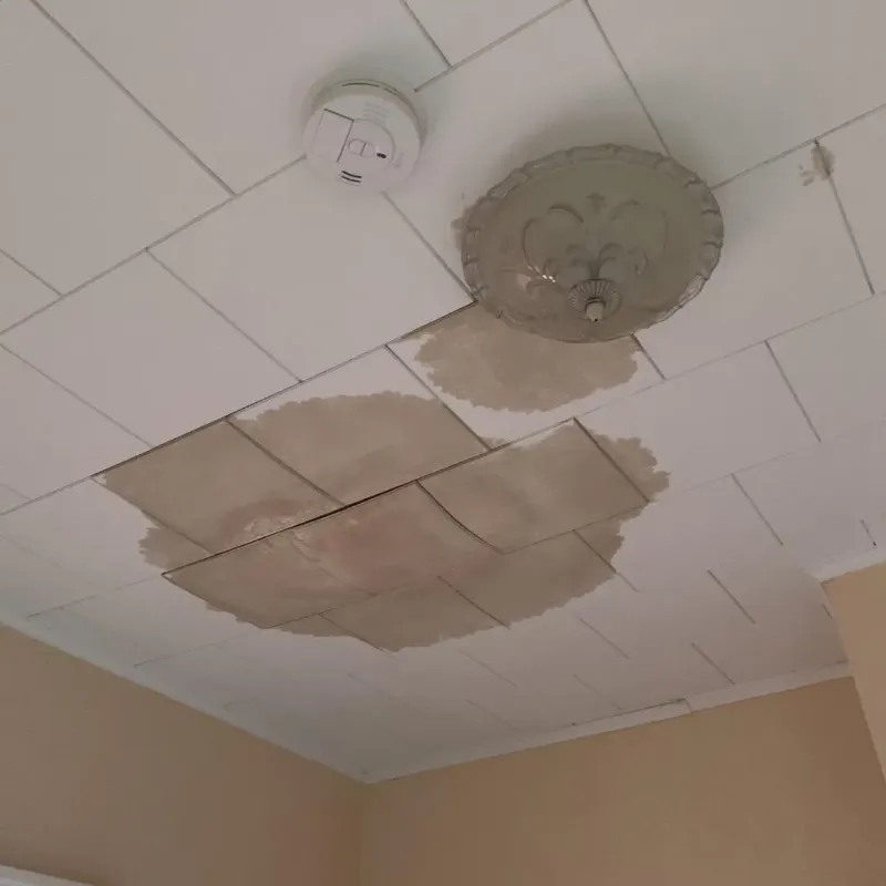 Ceiling Water Damage Repair in English, IN