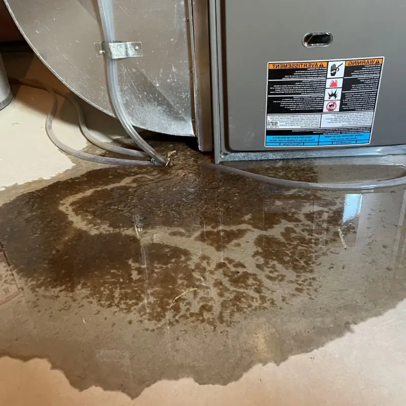 Pipe Burst and Leak Restoration in English, IN