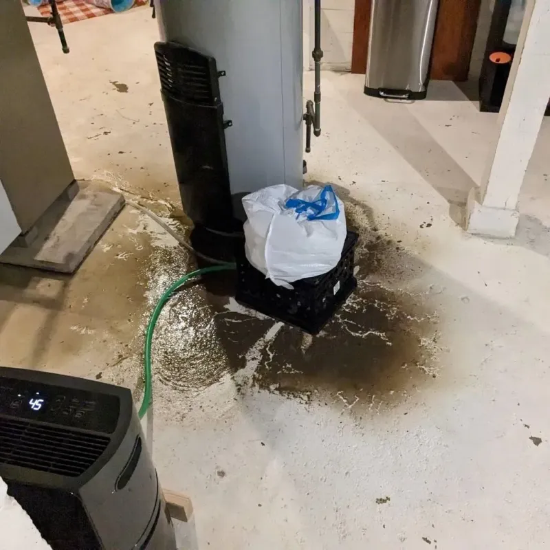 Sewage Backup Cleanup Service in English, IN